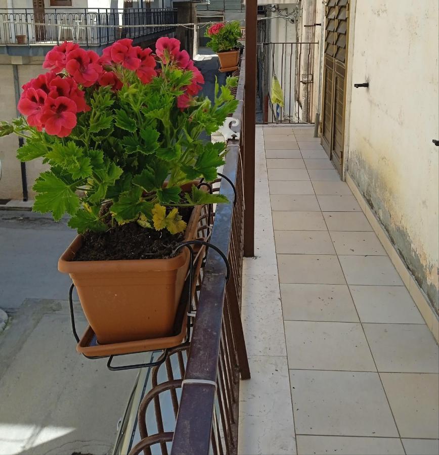 B&B La Casa Dell'Ospite Gravina in Puglia Esterno foto